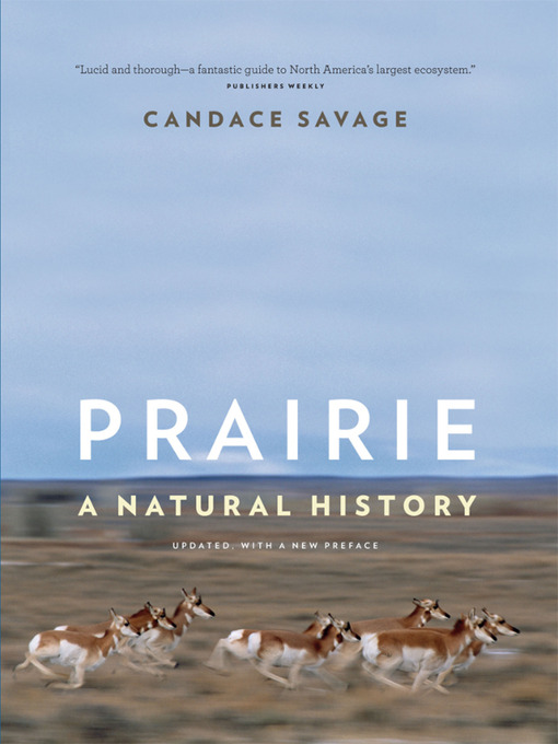 Prairie (eBook): A Natural History